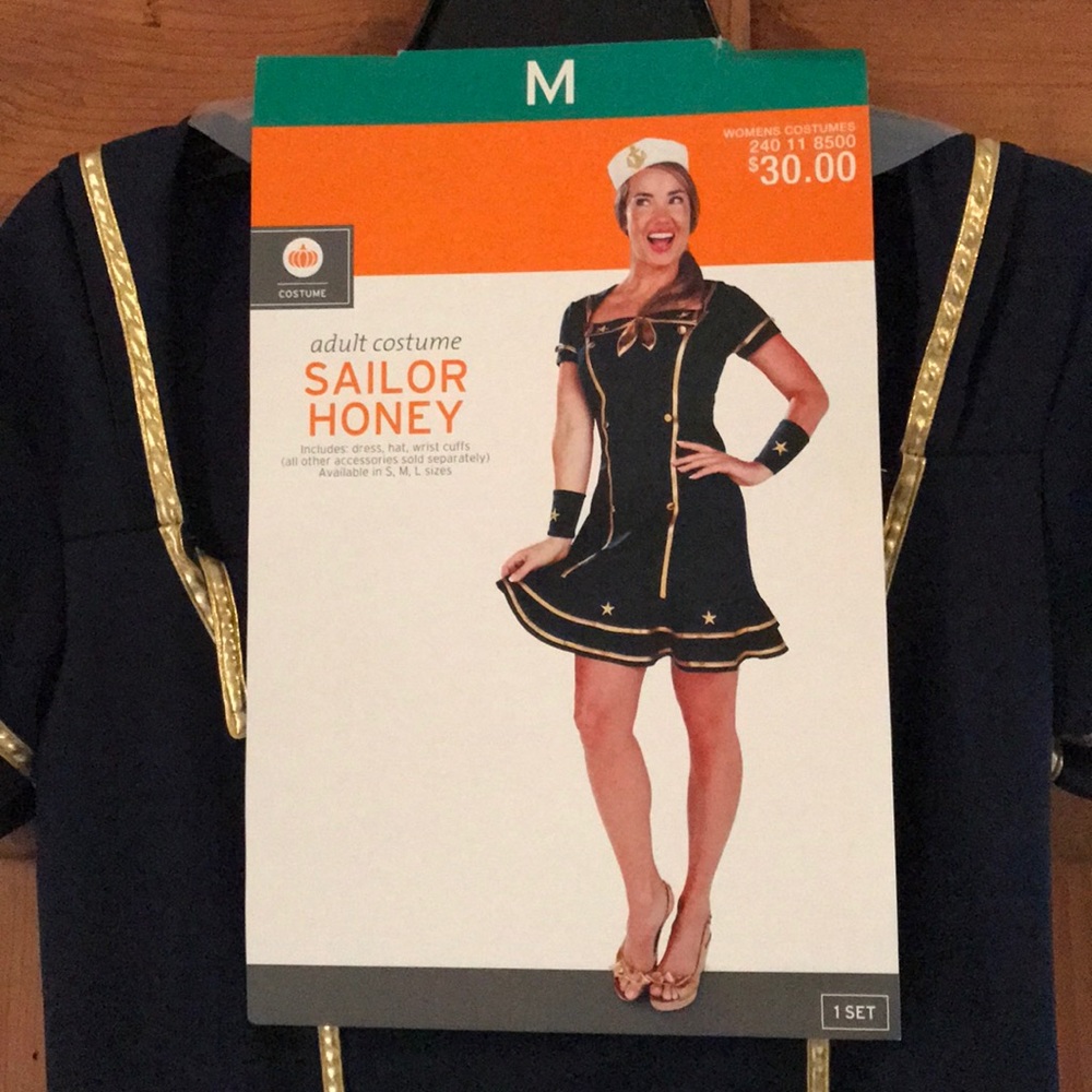 Sailor Honey Costume